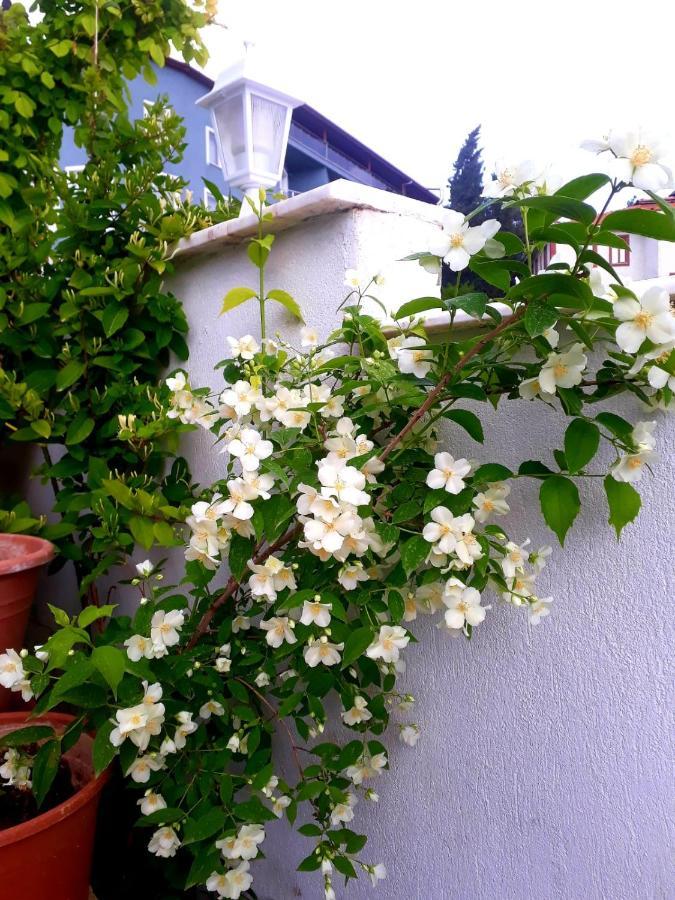 Paradise House Hotel apartamentowy *